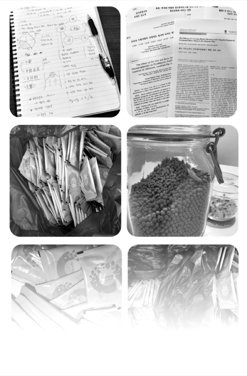 처방 연구 과정